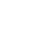 Secure icon